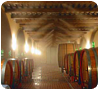 Vlažilni in hladilni sistemi  - zagotavljanje visoke stopnje vlage v vinskih kleteh